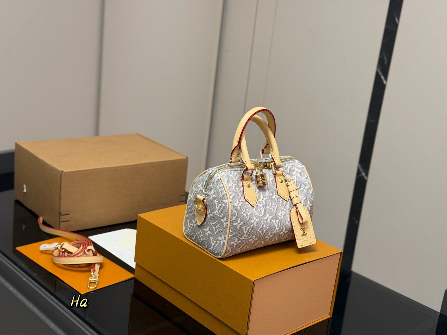 Louis Vuitton LV Speedy Pillow Bag Shipping Box Included | Luxury Designer Fashion Accessory
